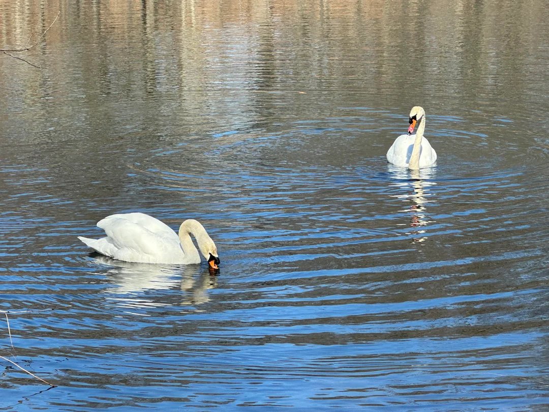 🎡 미나미 공원(미나미 코엔) 이미지 8